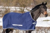 Pferdedecke dünn