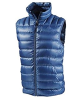 Daunengilet
